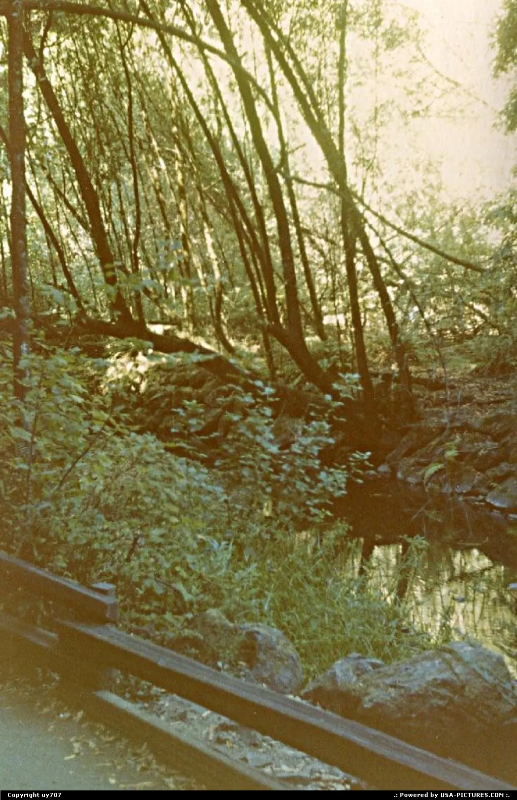 Muir Woods