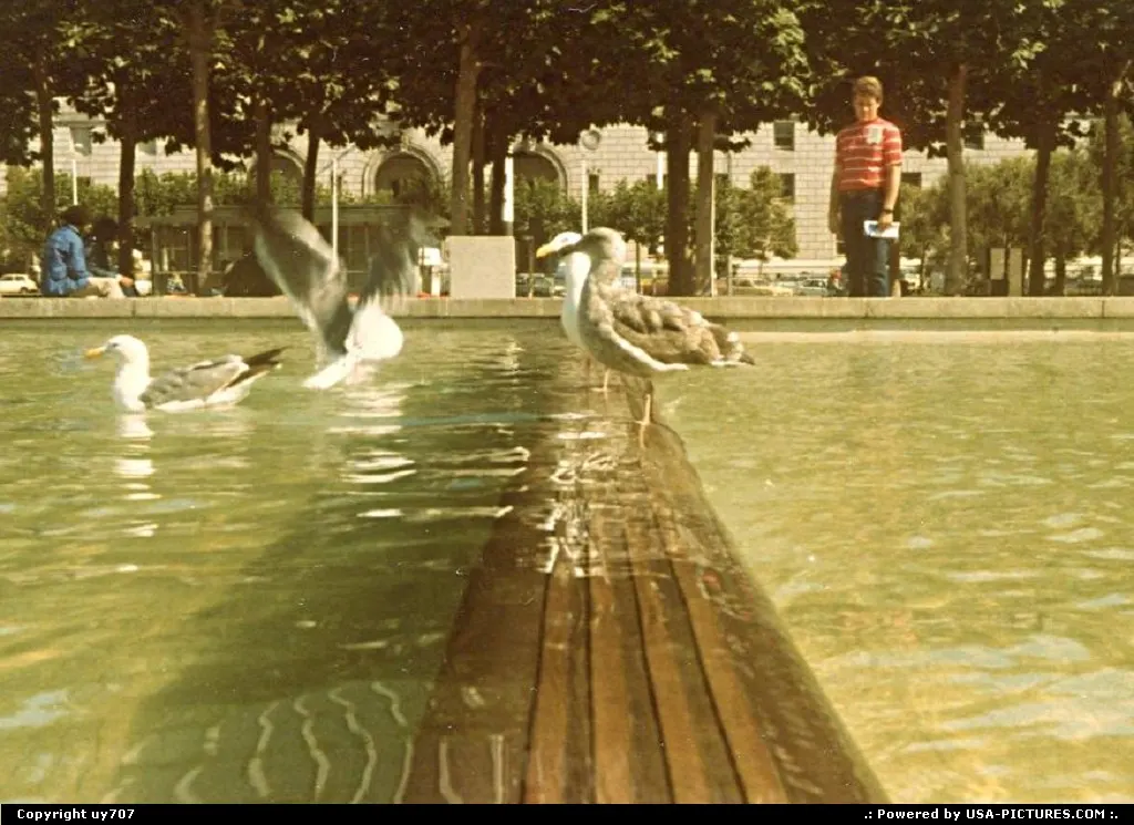 Reflecton pools close by the City Hall along with some residents.