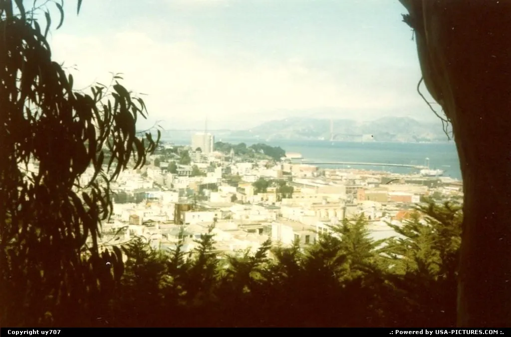 View from out of some woods with the Golden Gate Bridge still emerging from afar.