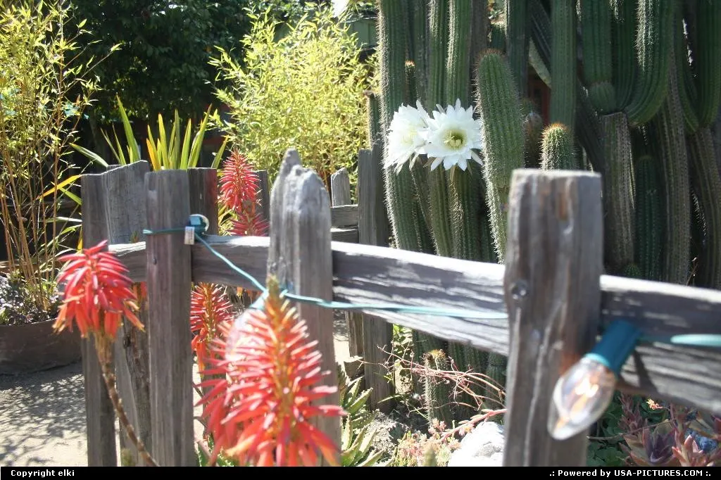 Very flowred welcome during a stop at big sur baker and restaurant, very nice place, gr...