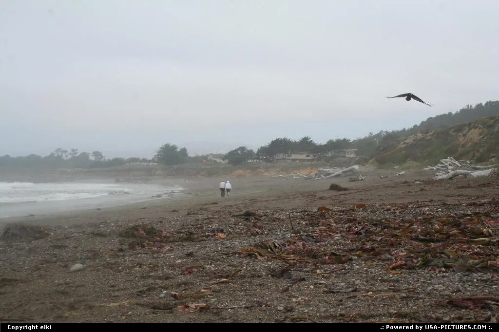 Cambria beach, California