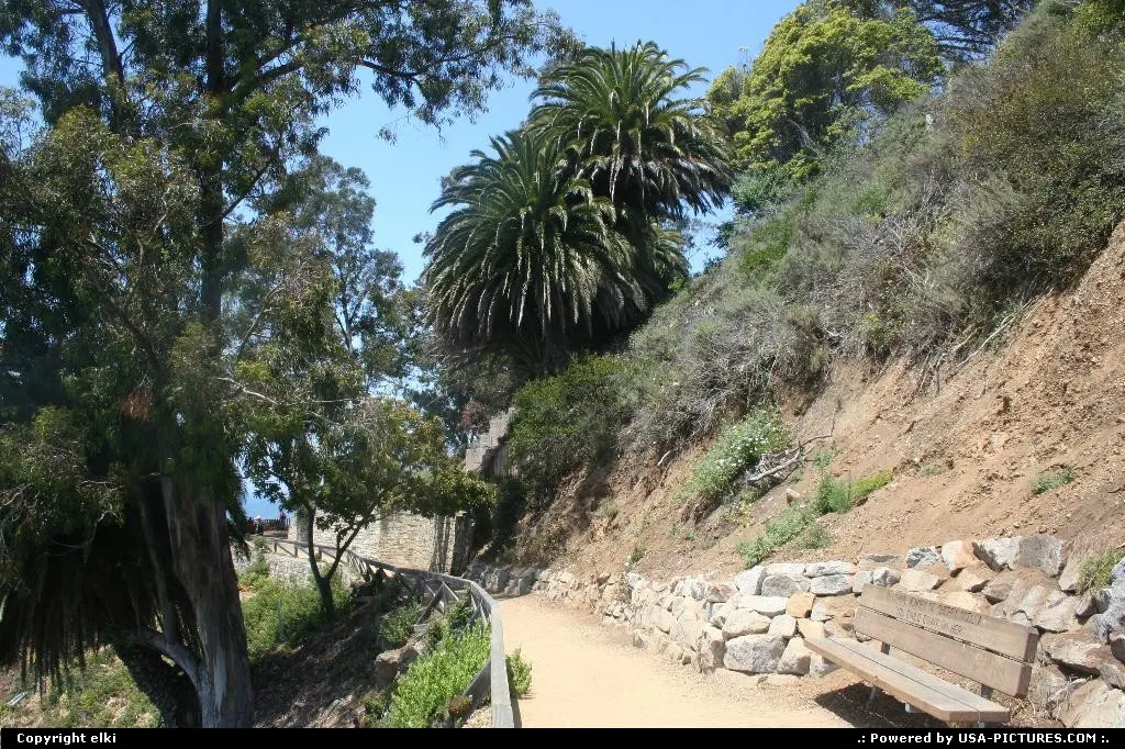 Trail in Julia Pfeiffer Burns state park, along the route 1 in california