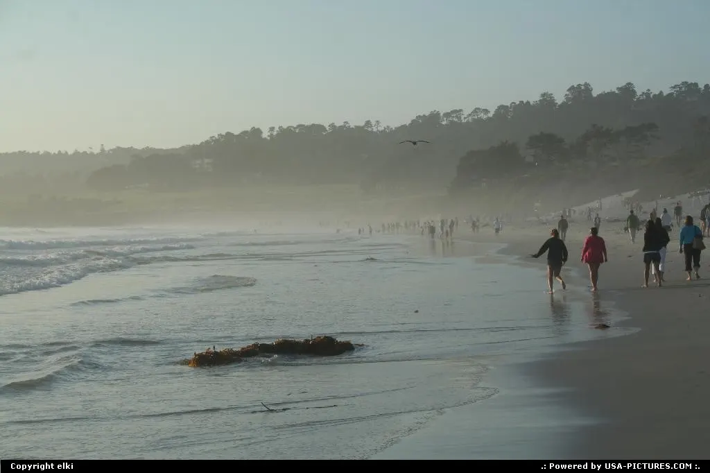 Summer time at carmel California.