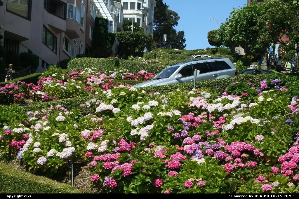 The more tortuous, plus very flowery, lombard street