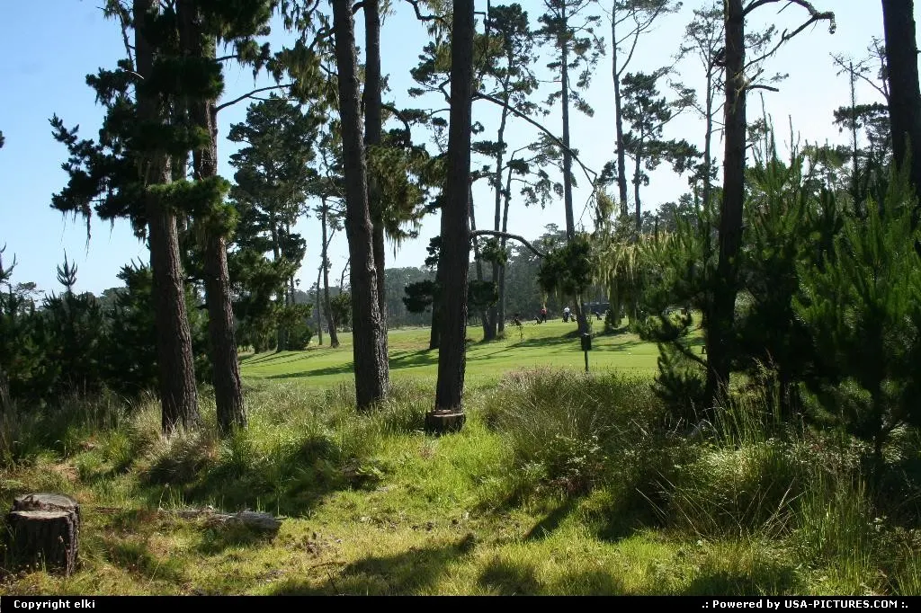 Pebble beach golf