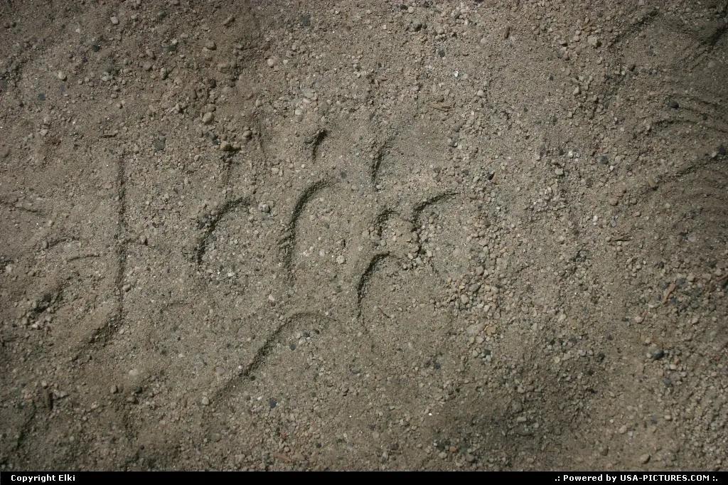 Can you spot the fingerprint?