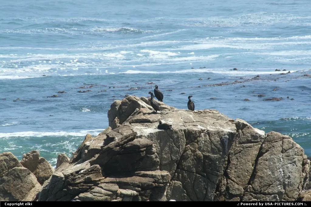 17 mile drive is following the coast from Carmel to Monterey.
