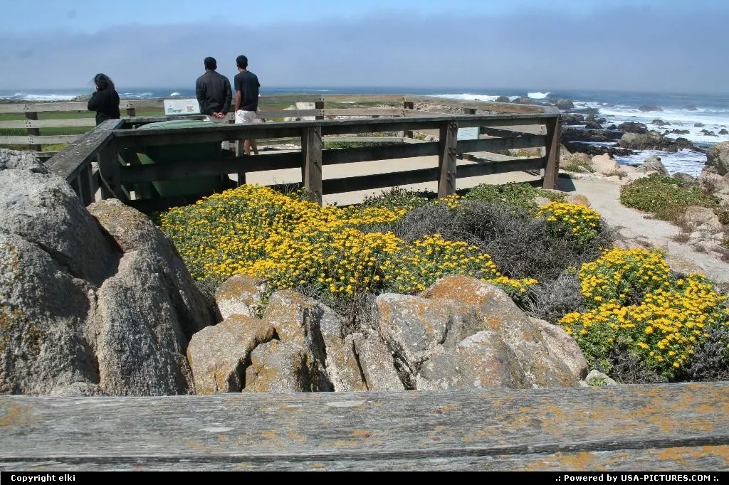 17 mile drive is following the coast from Carmel to Monterey.