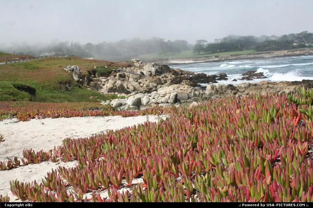 17 mile drive is following the coast from Carmel to Monterey.