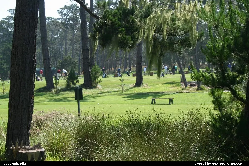 Pebble beach golf
