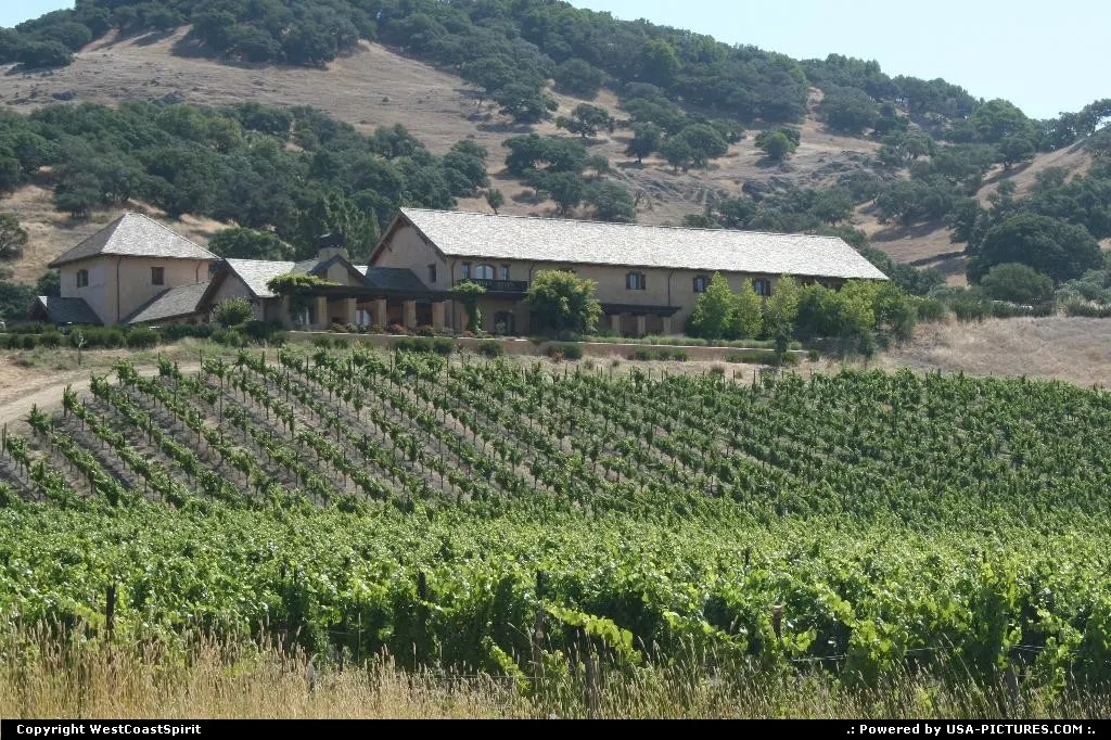 Yet another winery, here in Napa County