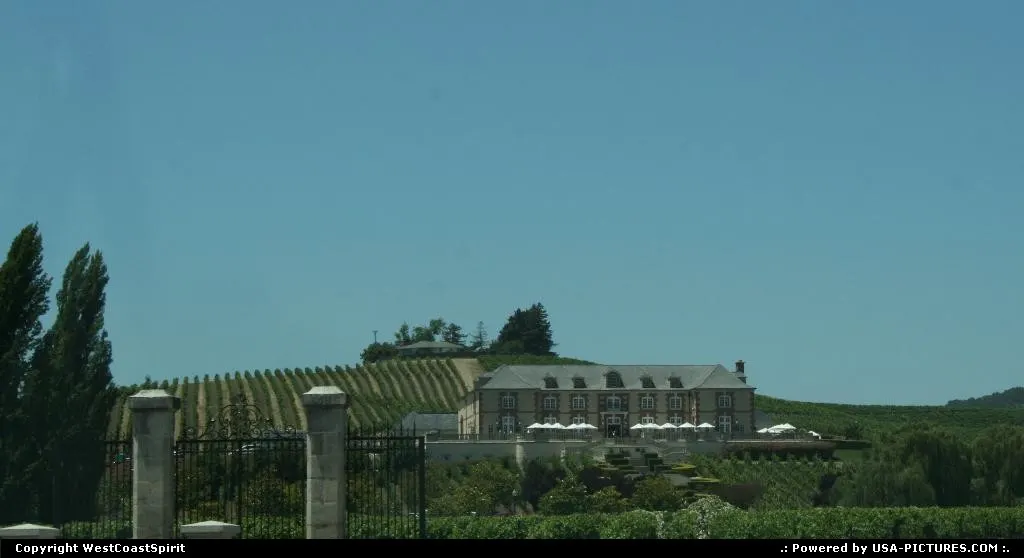 Yet another great winery in Napa County
