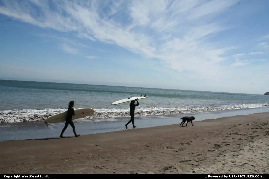 A surf, the Pacific Ocean, nice dog, uncrowded beach. Life is good!