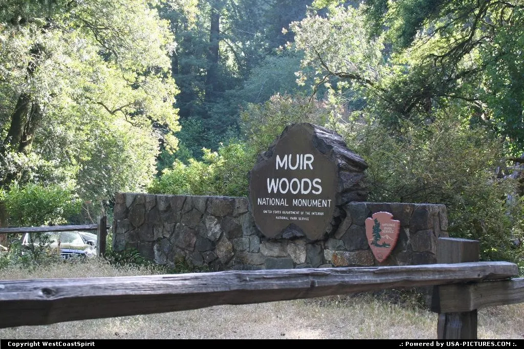 Muir Wood National Monument is a redwood forest located 15 minutes north of San Francisco.