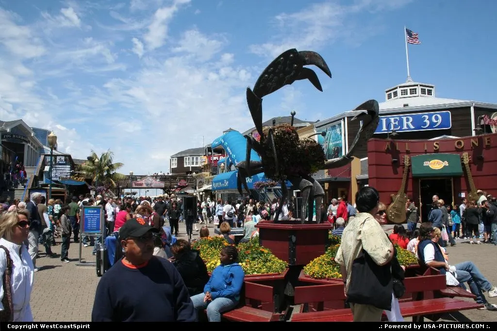 Crowed as always Pier 39, Fisherman's wharf.