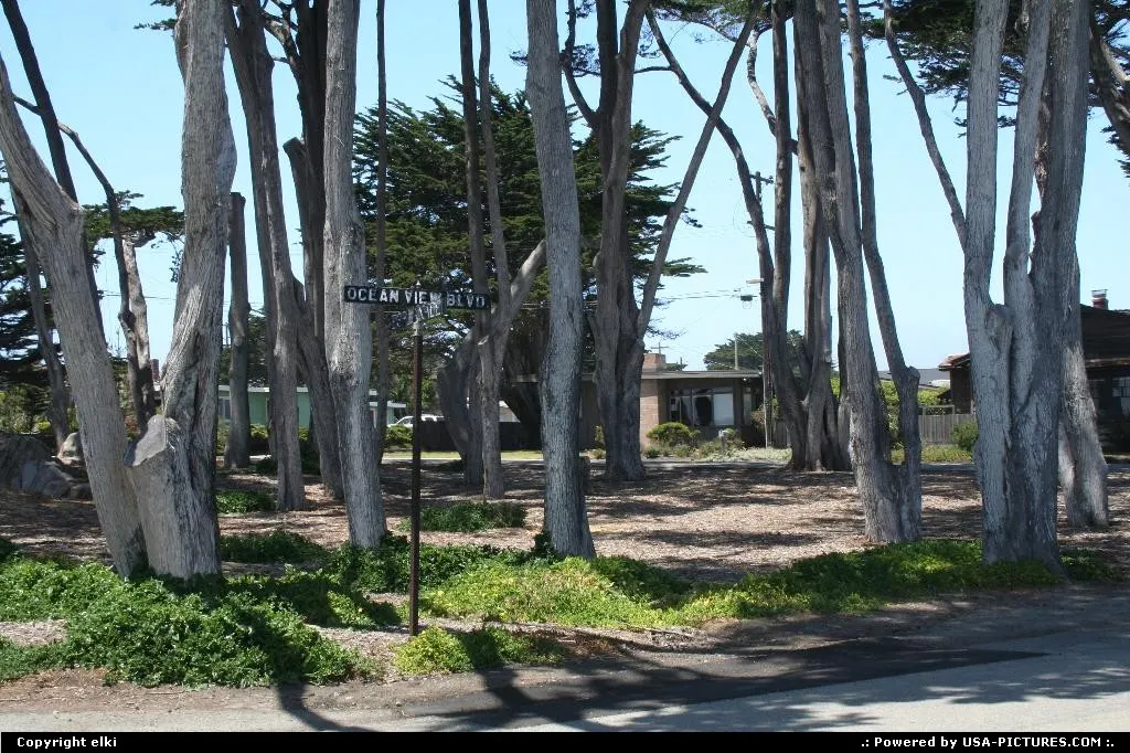 pacific grove