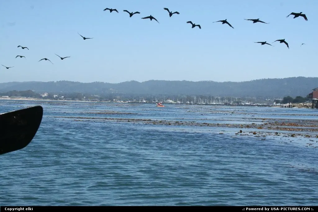 Monterey Bay