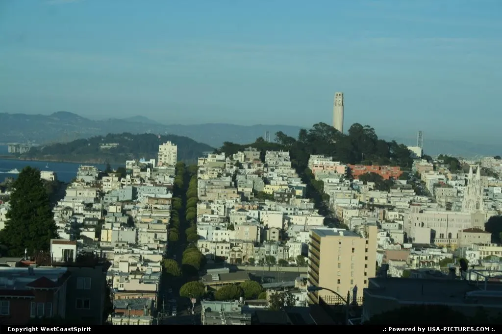 World famous Lombard Street with the Coit Tower afar.