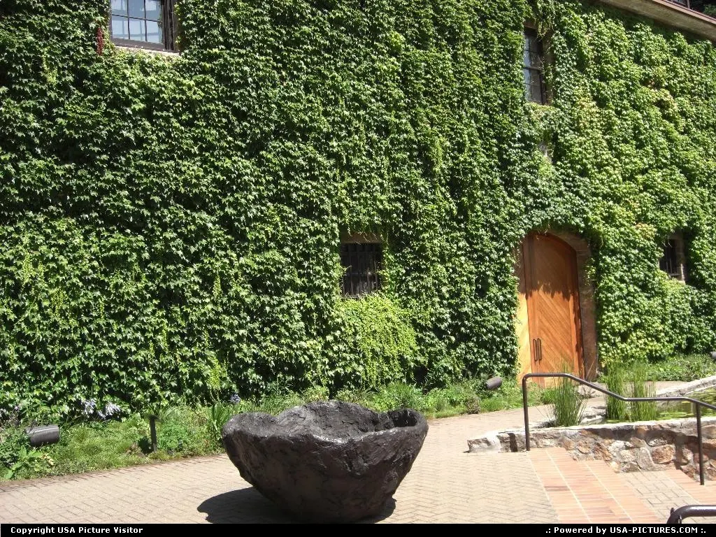 winnerie in napa