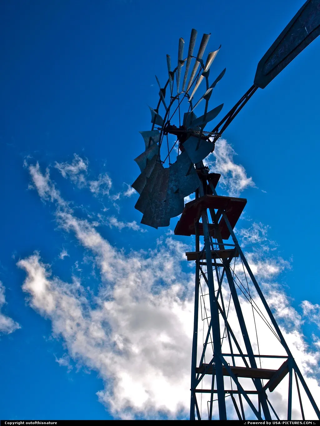 Summer windmill