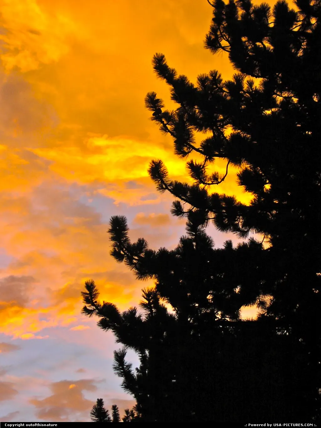 God paints a picture.