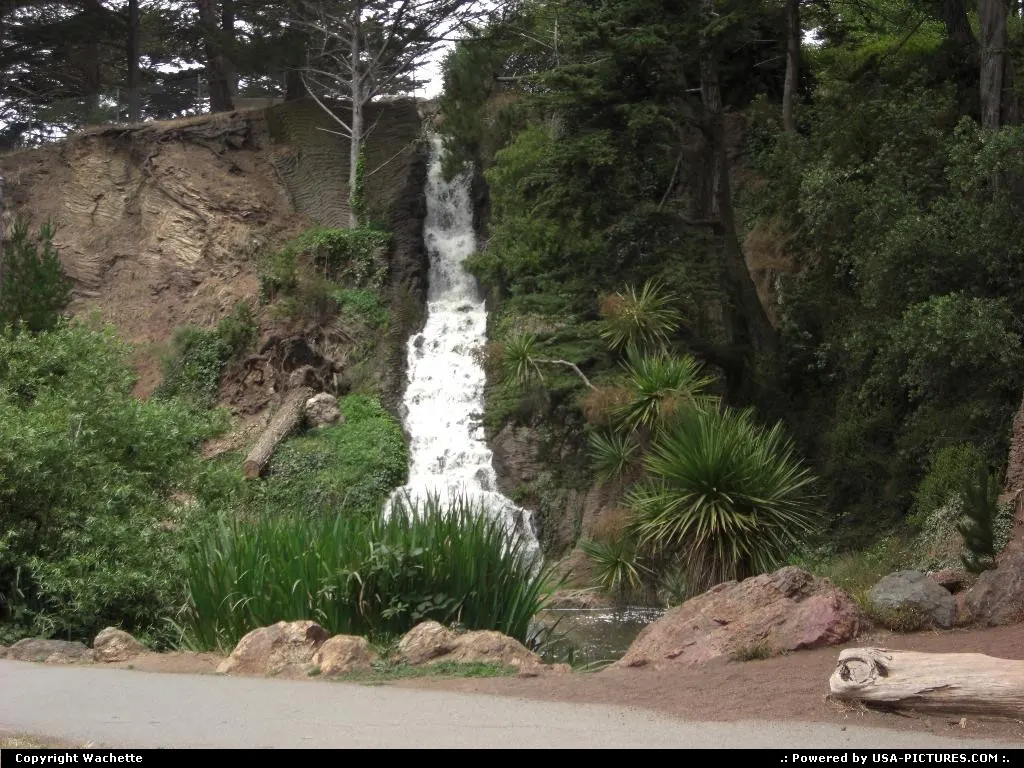 golden gate park