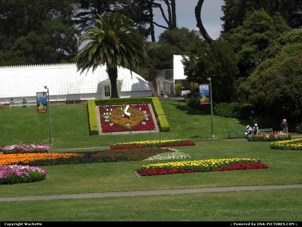 golden gate park