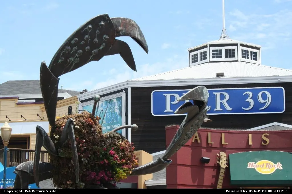 Crab at the Pier...