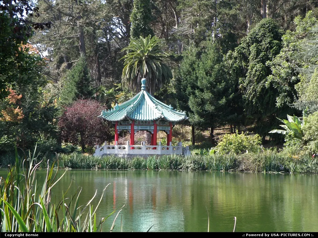 Japanese Tea Garden in the Golden Gate Park