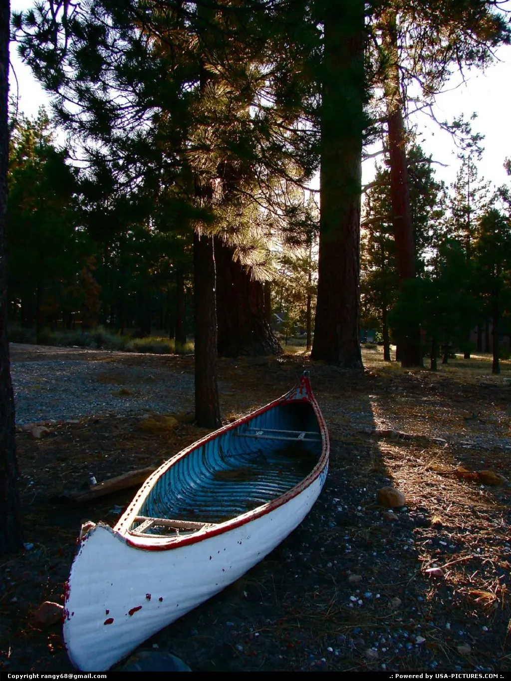 Canoe resting under a tree