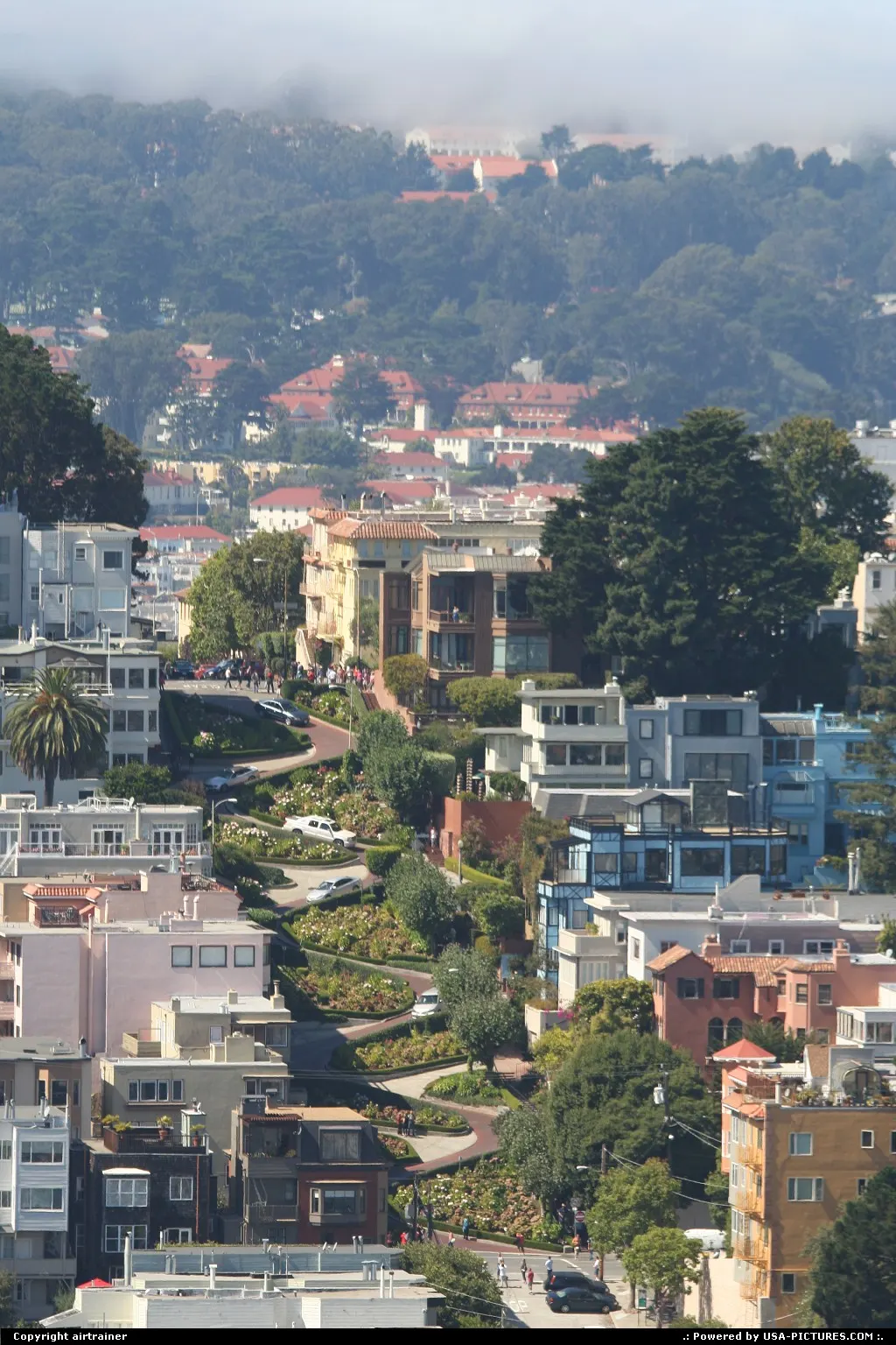 Overview of Lombard street, from the Coit Tower.