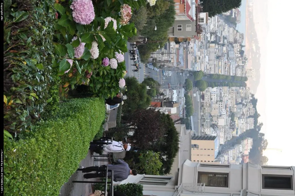 san fransisco california lombard street