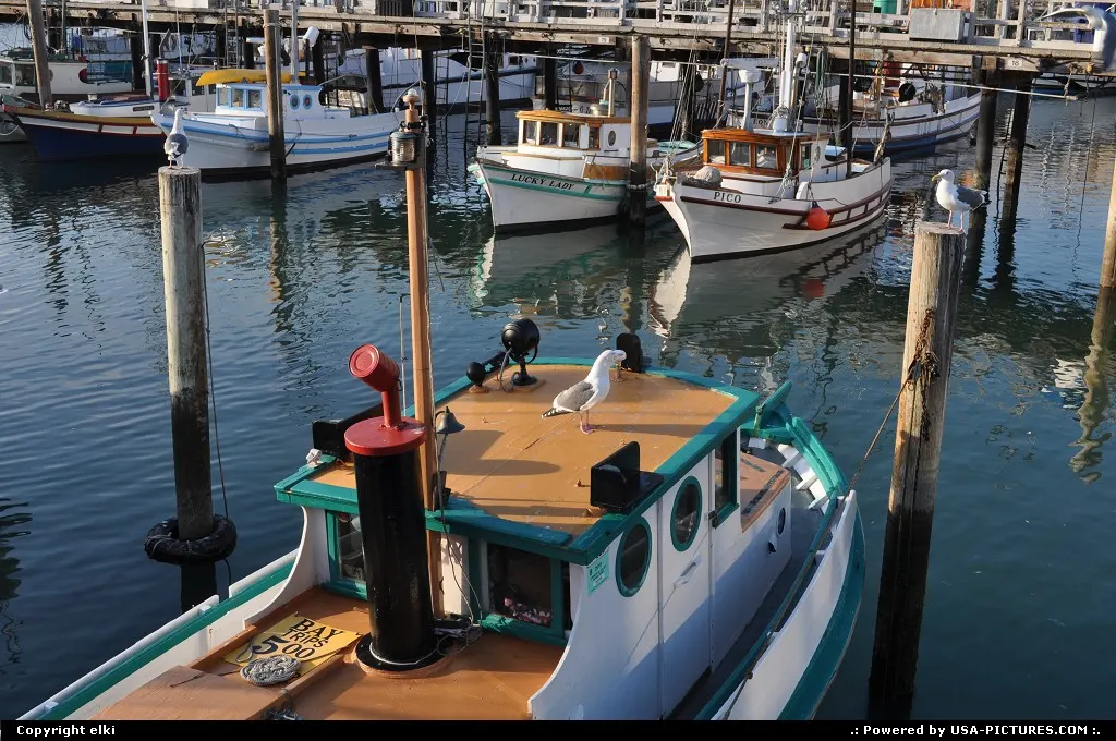 fisherman wharf - san francisco california