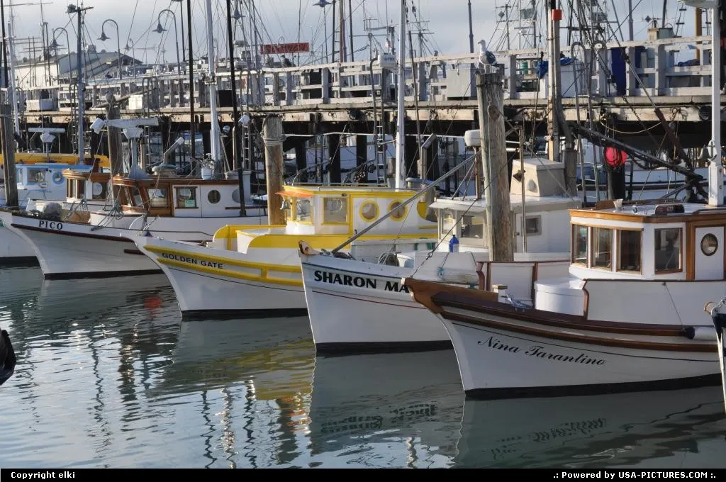 fisherman wharf - san francisco california
