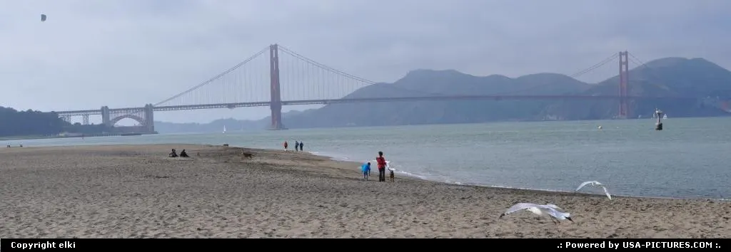 golden gate bridge view