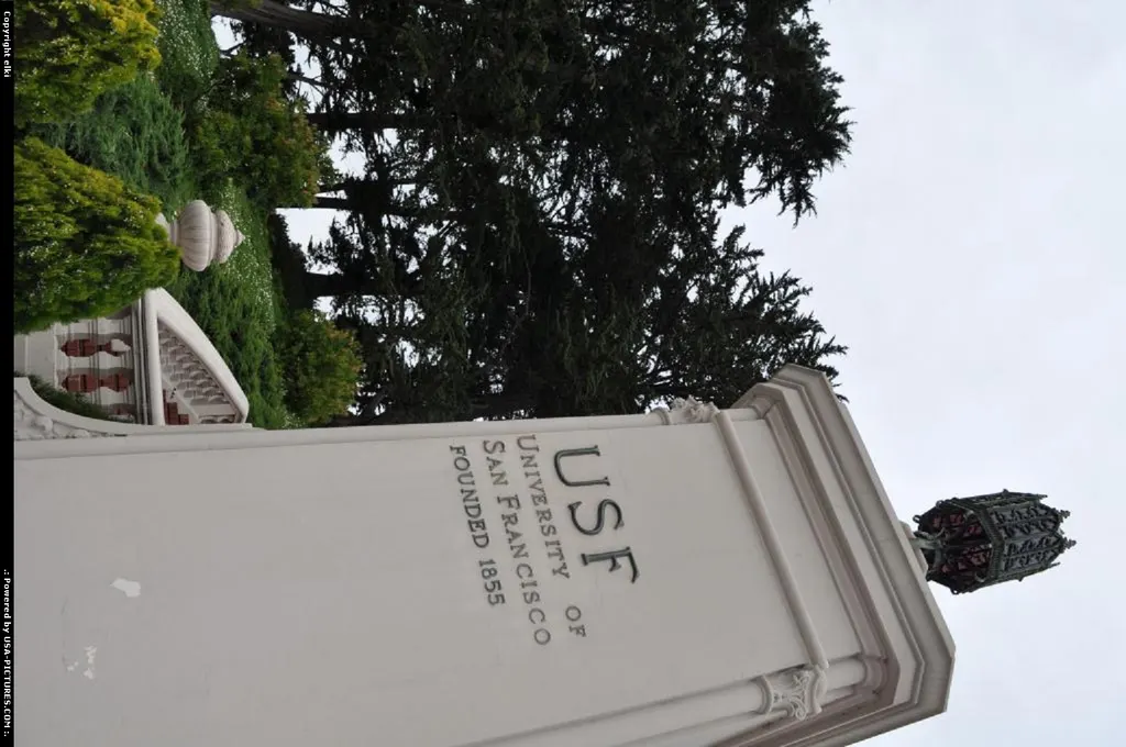 San francisco university