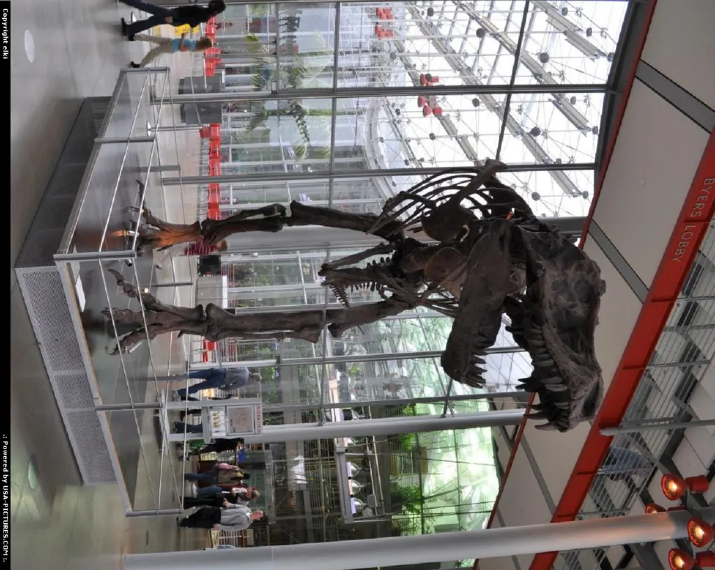 academy of science welcome you