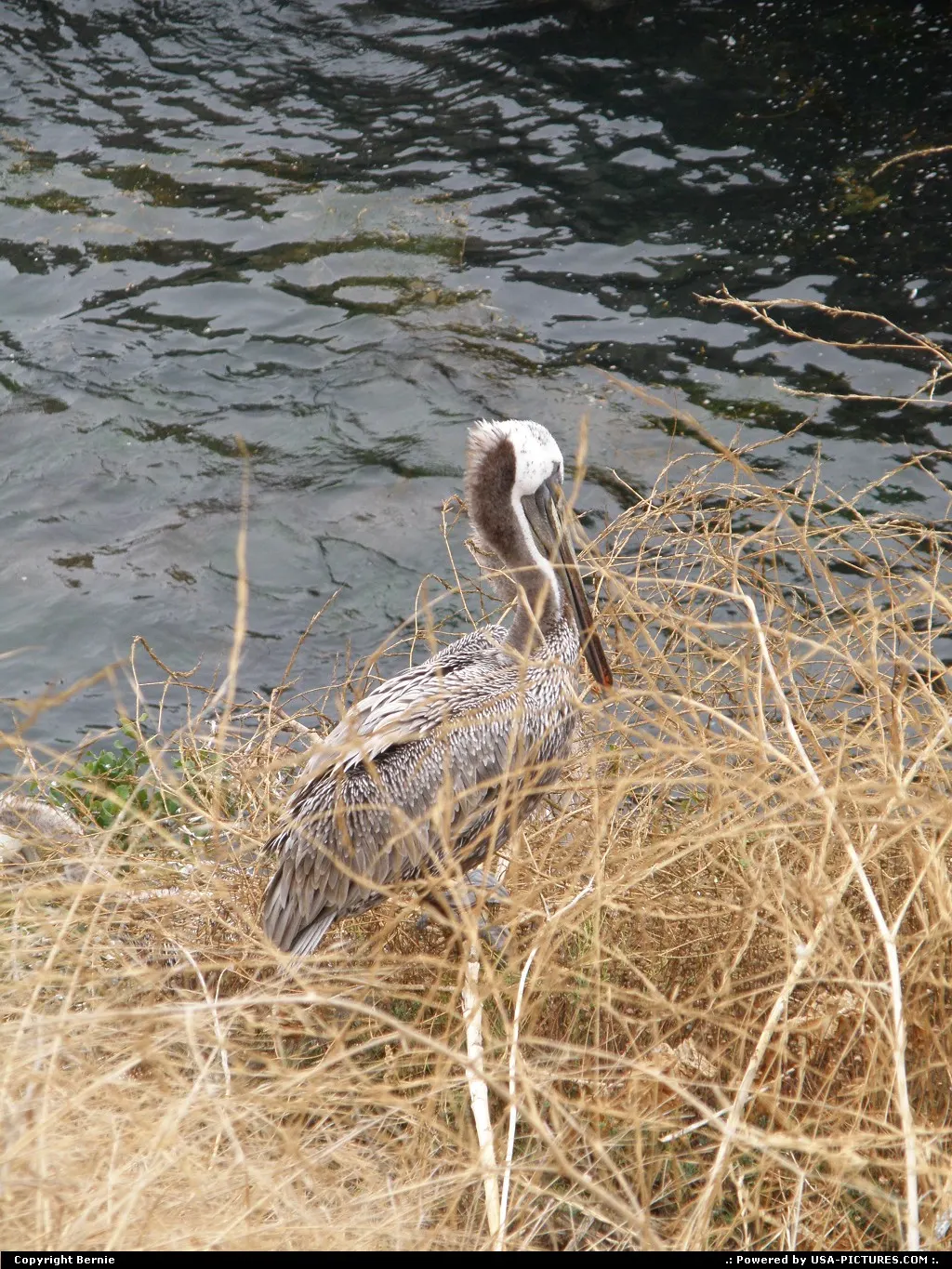 La Jolla California