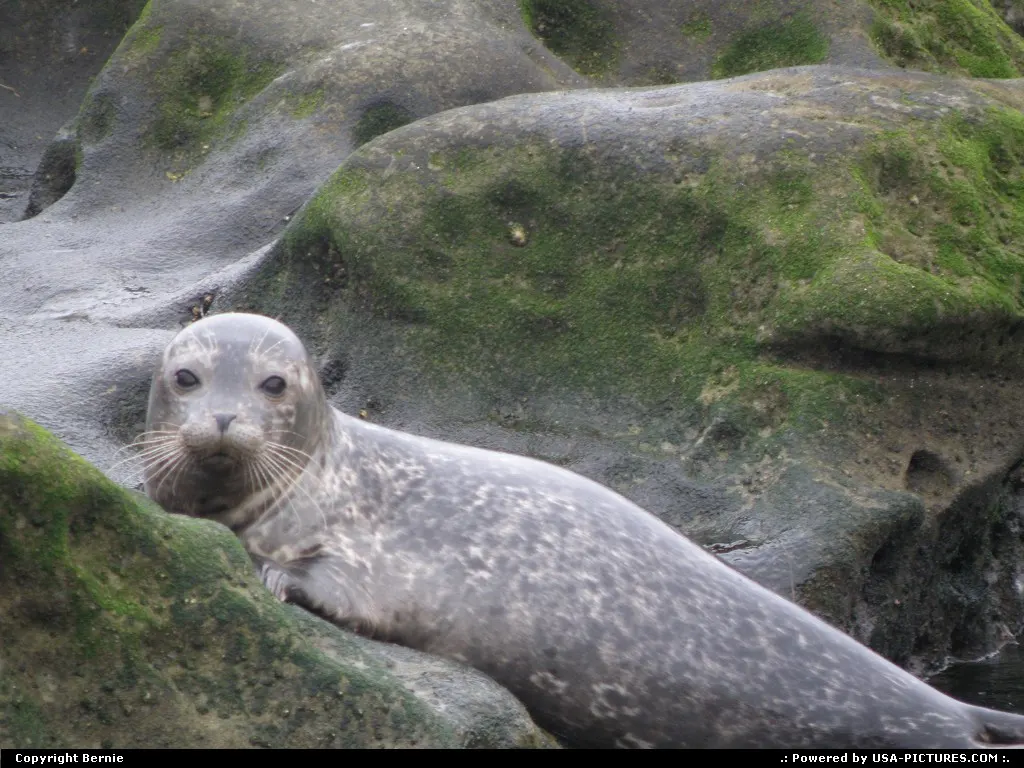 La Jolla California