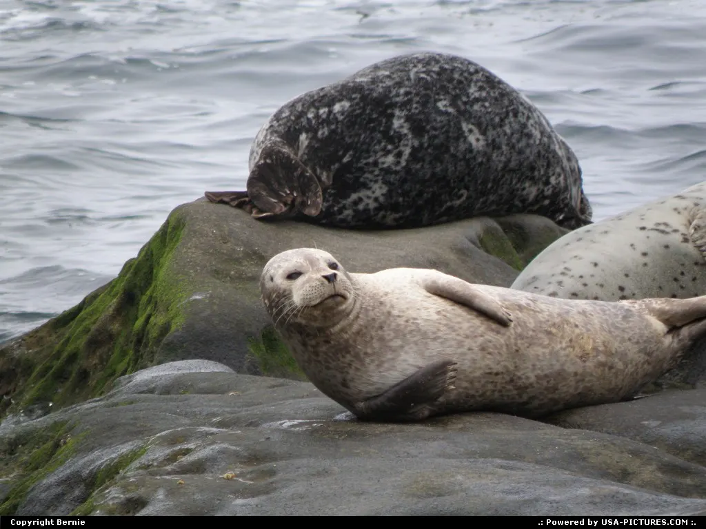 La Jolla California