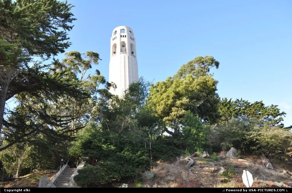coit tower