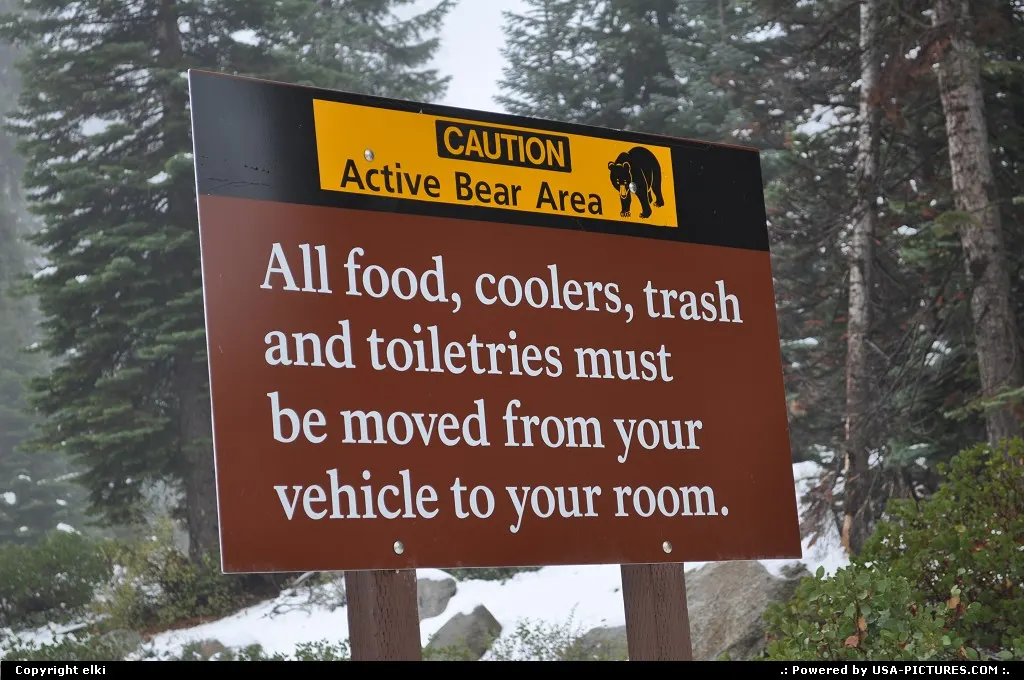 sequoia national park, bear warning
