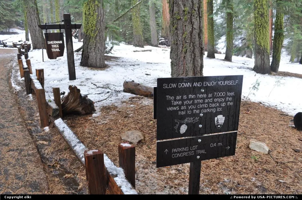 sequoia national park. Way back to parking lot. it is steep, take your time