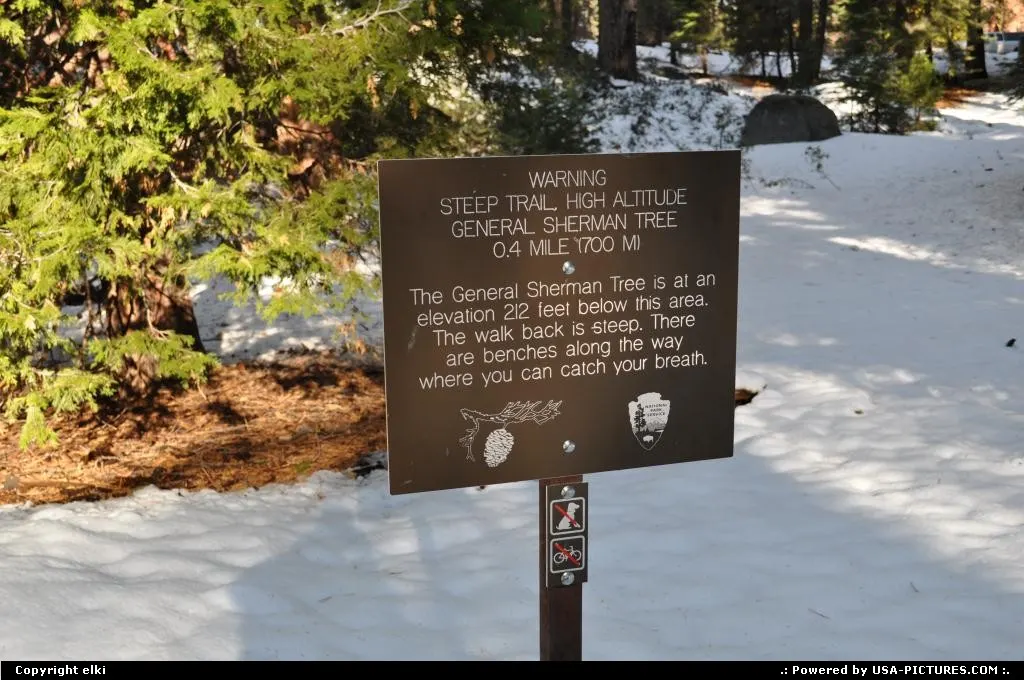 sequoia national park
