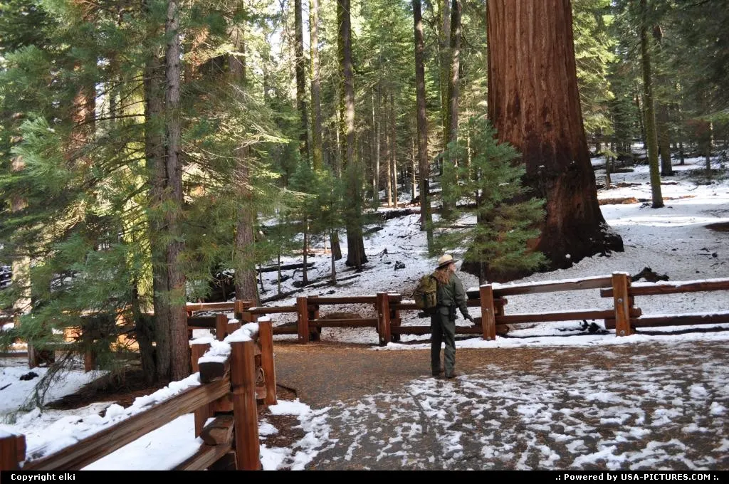 sequoia national park