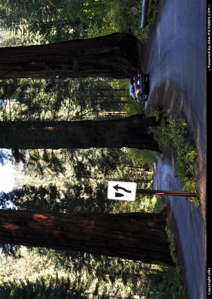 sequoia national park