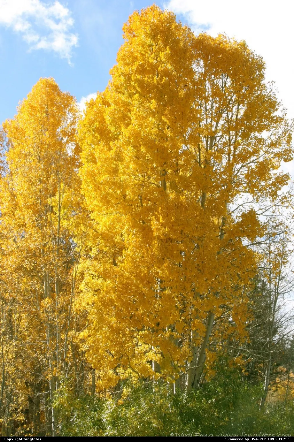 Taken outside Sorensen's all-season resort in the High Sierra.