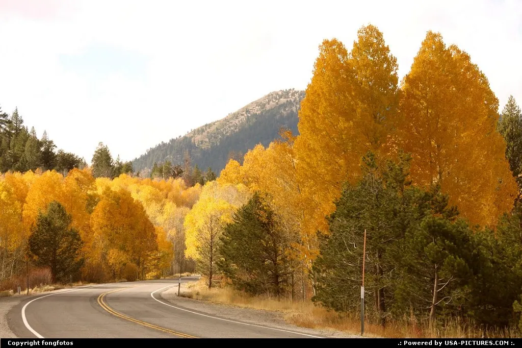 Taken outside Sorensen's all-season resort in the High Sierra.