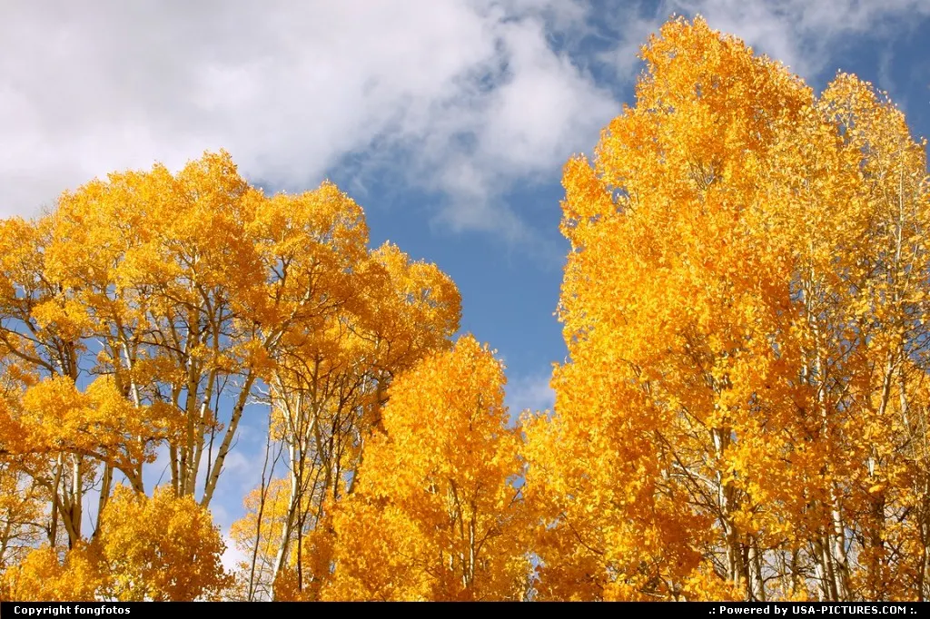 Taken outside Sorensen's all-season resort in the High Sierra.