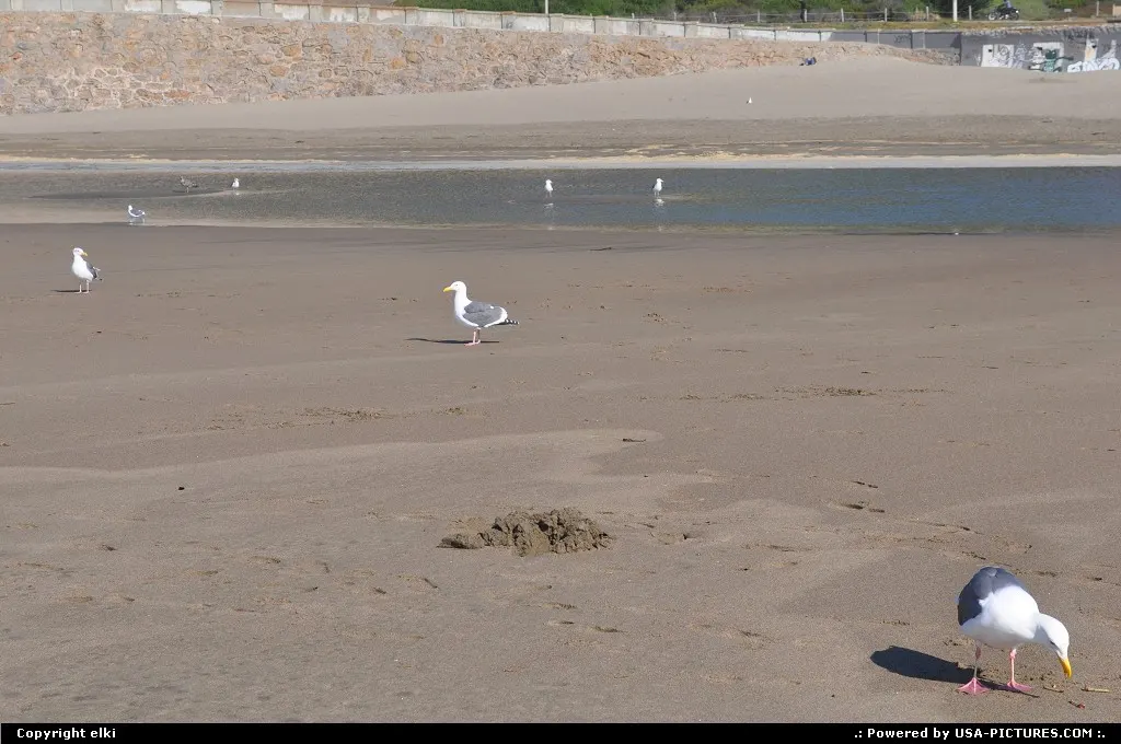 Ocean beach.